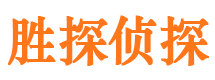 乌什侦探调查公司